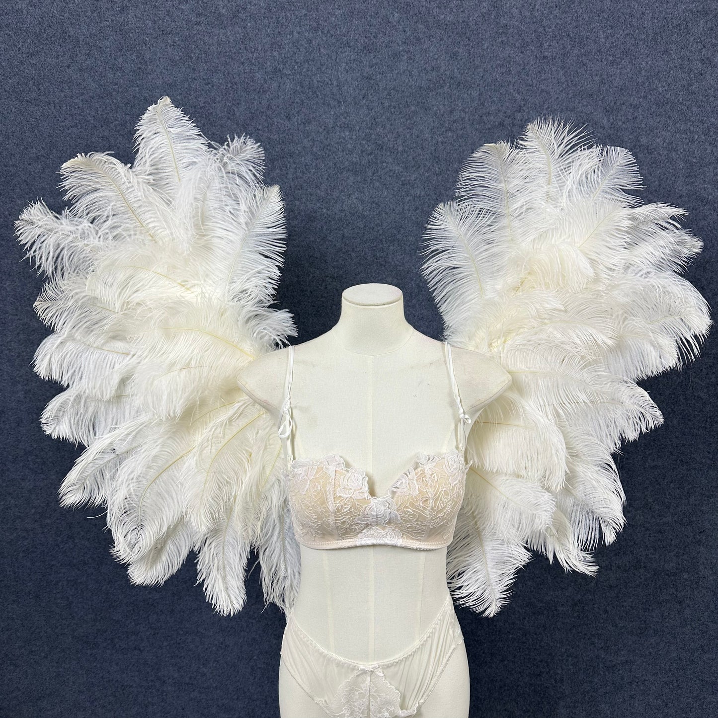 Small Ostrich Feather Angel Wings | Real Feathers Costume