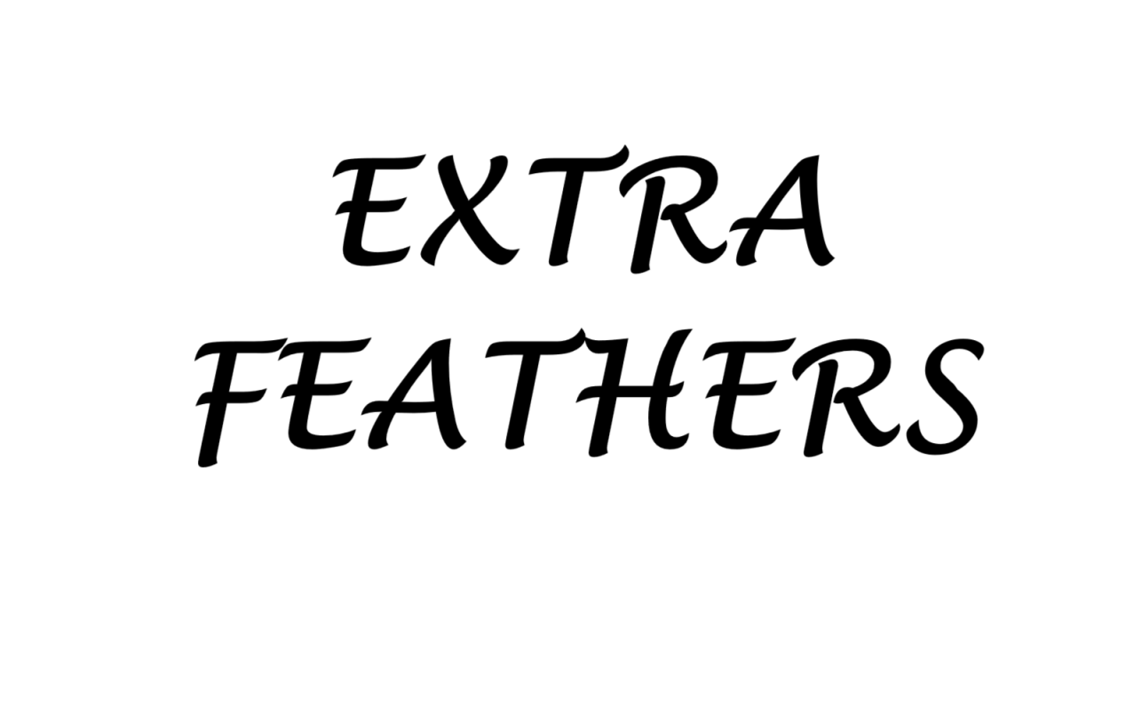 extra feathers for any wings