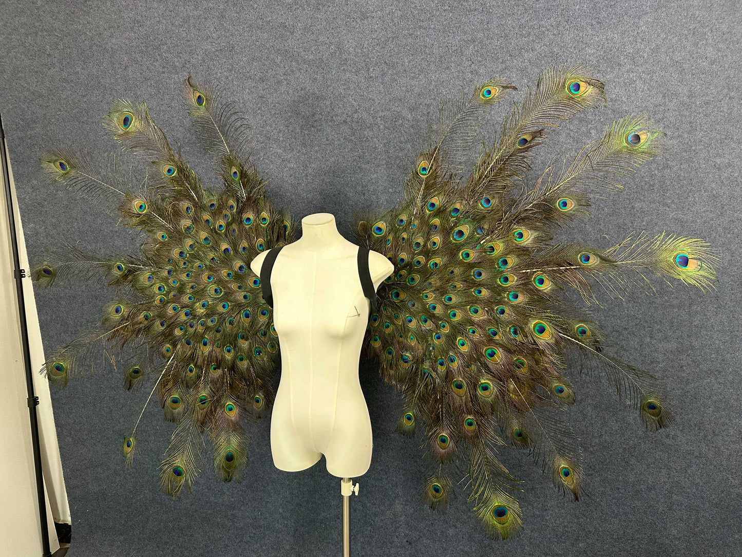 Large Peacock Wings From Peacock Feathers