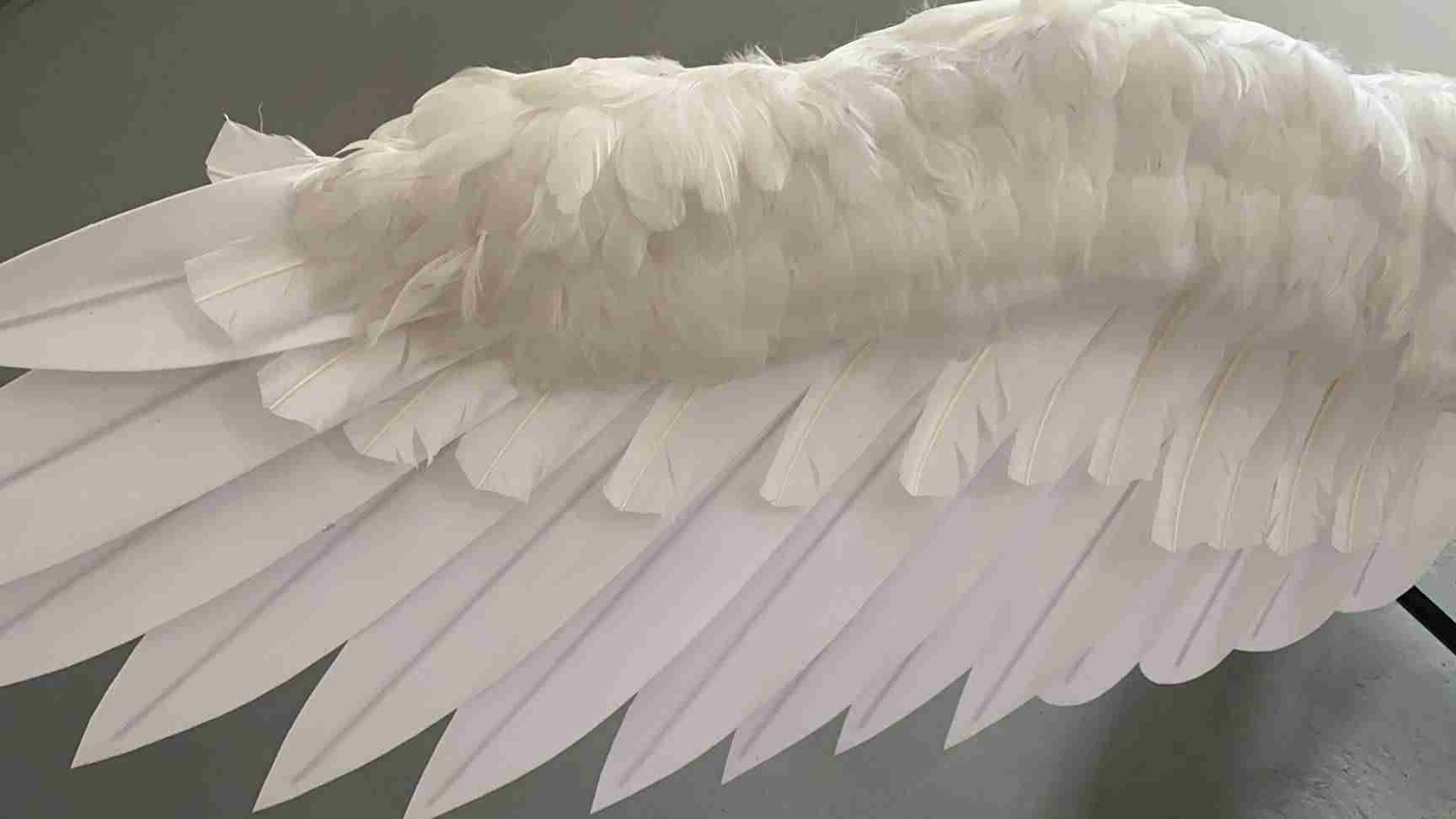 Our large white color angel wings from close view. Wings are moveable and can control extension and folding remotely. Made from flannel cloth and goose feathers. Wings for angel costume or devil costume. Suitable for fantasy photoshoots or events.