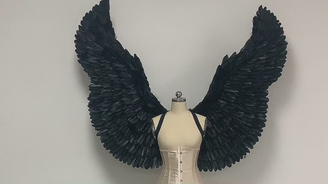 Our black color devil wings video. Made from goose feathers. Wings for the devil or angel costume. Suitable for photoshoots.
