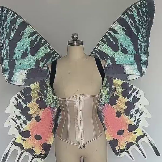 Our sky orange butterfly wings video. Made from cloth. Can be also named fairy wings or pixie wings.