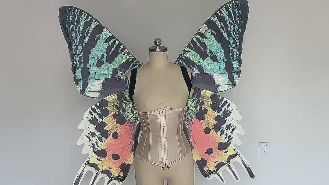 Our sky orange butterfly wings video. Made from cloth. Can be also named fairy wings or pixie wings.