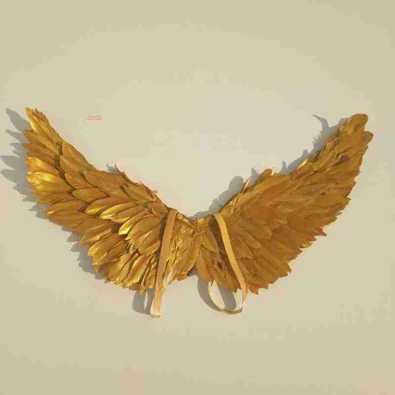 Our little cute golden angel wings from the front. Made from goose feathers. Wings for angel costume or kids wings costume. Suitable for photoshoots.