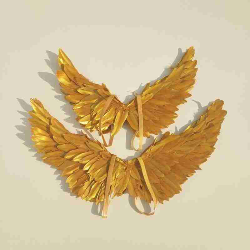 Our little cute golden angel wings from the front. Smaller and bigger size comparison. Made from goose feathers. Wings for angel costume or kids wings costume. Suitable for photoshoots.