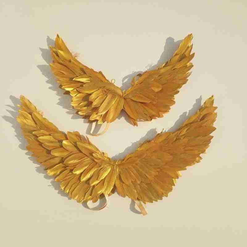 Our little cute golden angel wings from the back. Smaller and bigger size comparison.Made from goose feathers. Wings for angel costume or kids wings costume. Suitable for photoshoots.