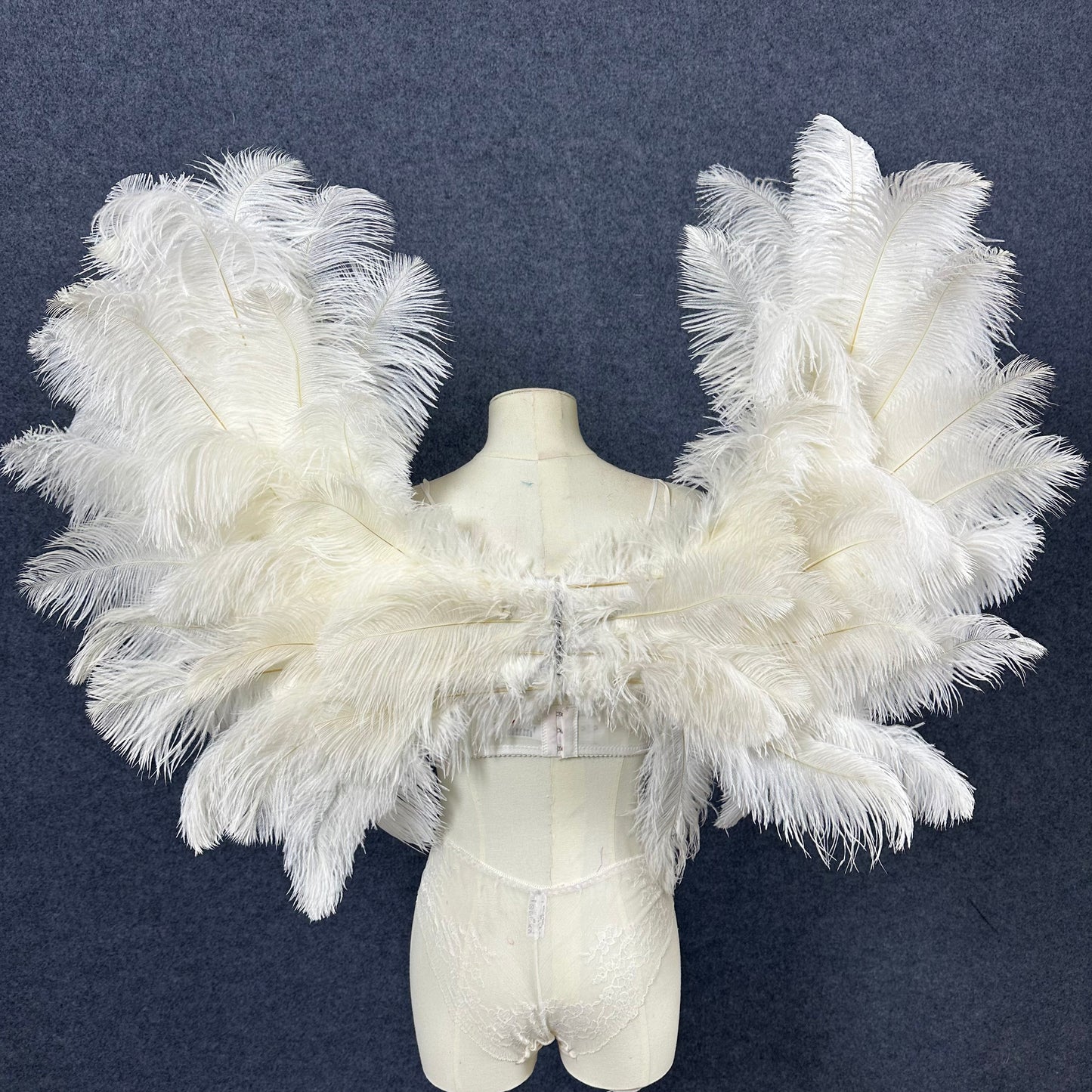 Small Ostrich Feather Angel Wings | Real Feathers Costume
