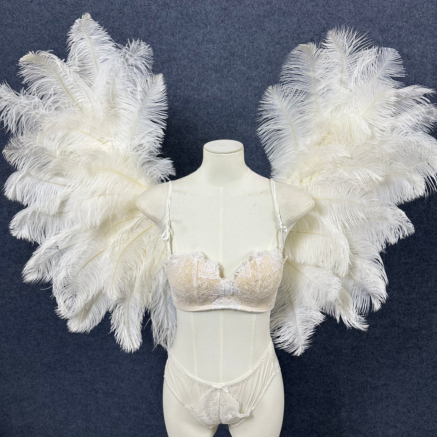 Small Ostrich Feather Angel Wings | Real Feathers Costume
