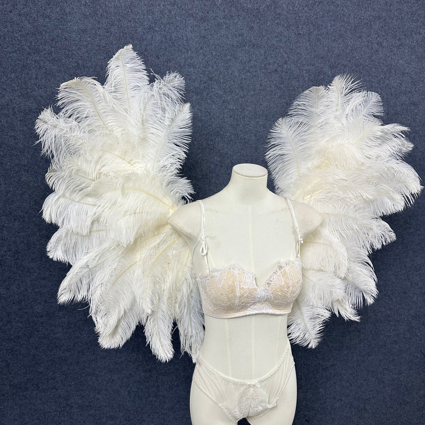 Small Ostrich Feather Angel Wings | Real Feathers Costume